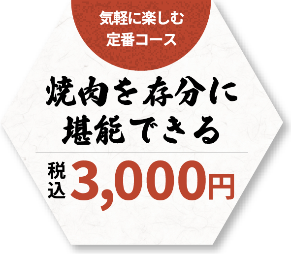 気軽に楽しむ 定番コース 税込3,000円
